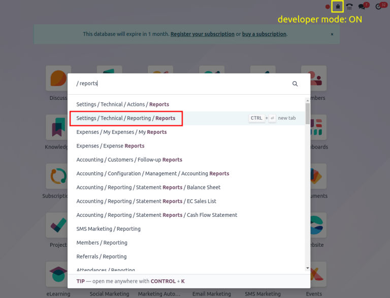 Show global search result for Reports.